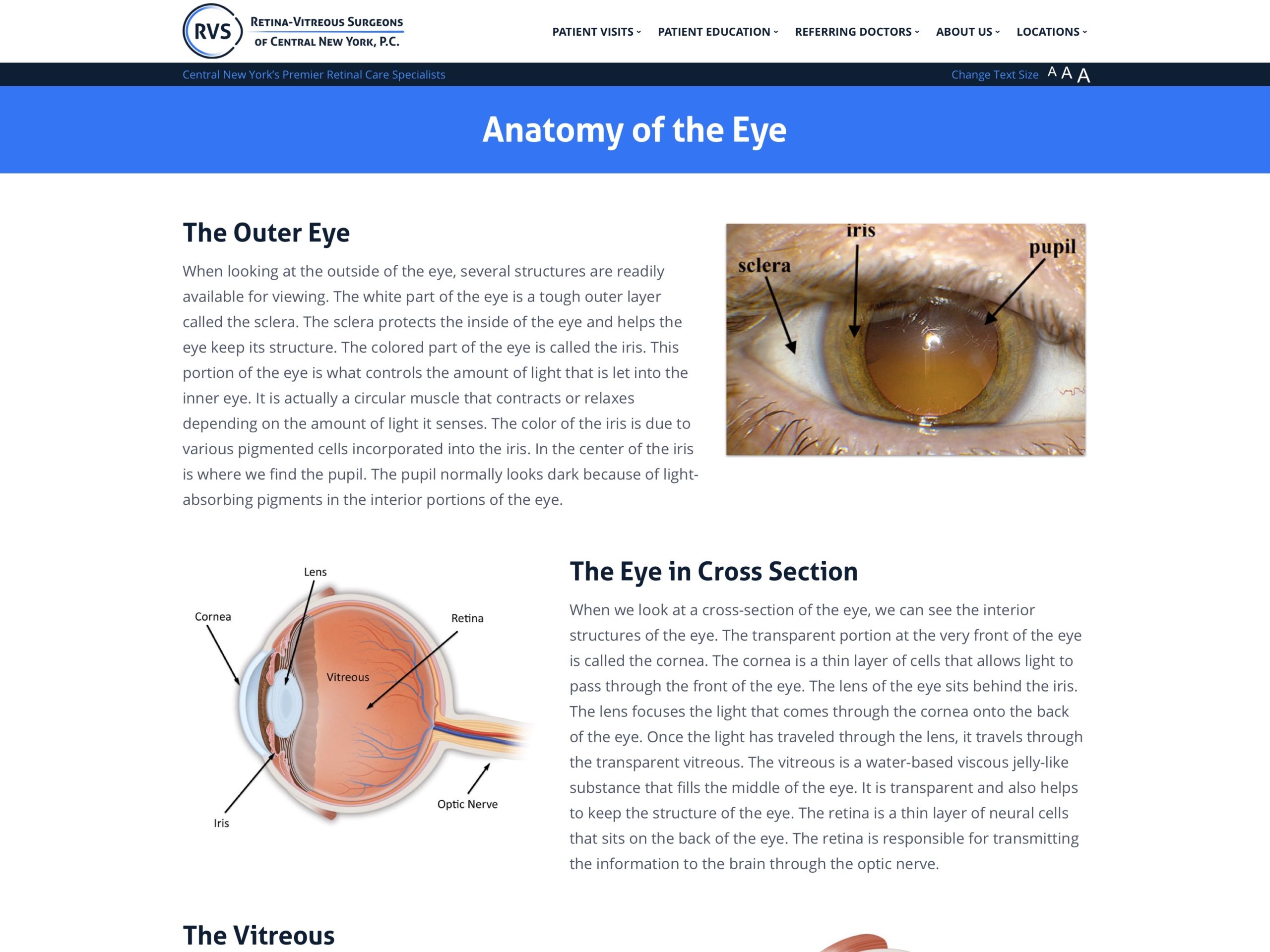 Anatomy of the Eye | Retina-Vitreous Surgeons of CNY